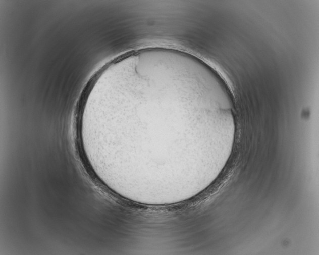 X0000116380983201001131805