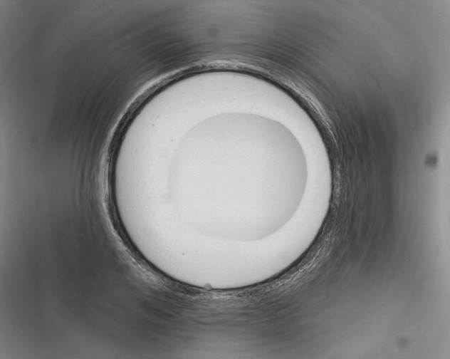 X0000116380984201001131805