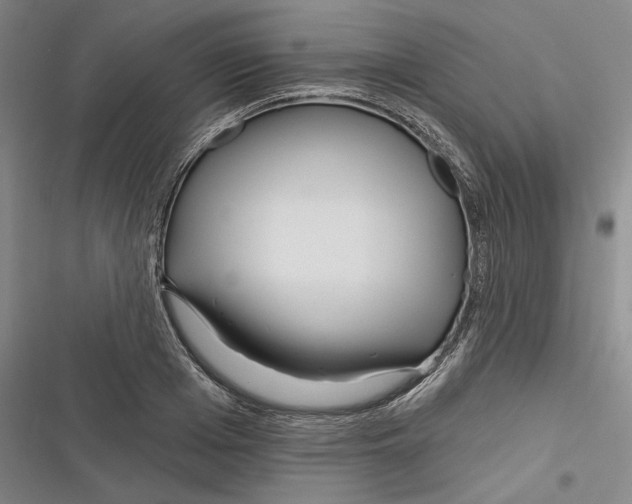 X0000116380985201001131805