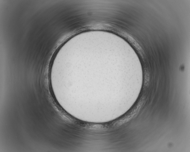 X0000116380986201001131805
