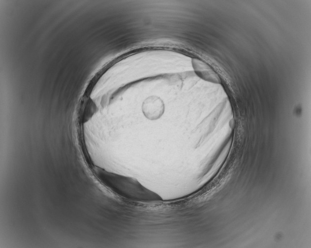 X0000116380989201001131805