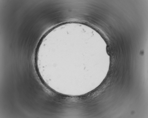 X0000116380991201001131805