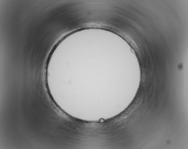X0000116380992201001131805