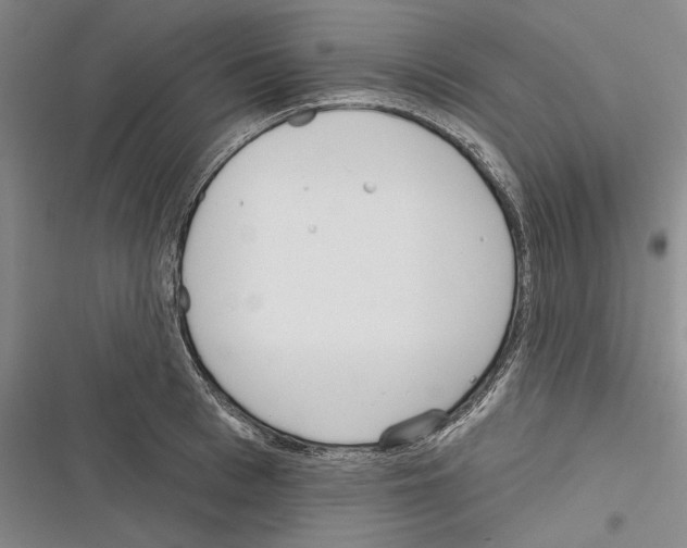 X0000116380993201001131805