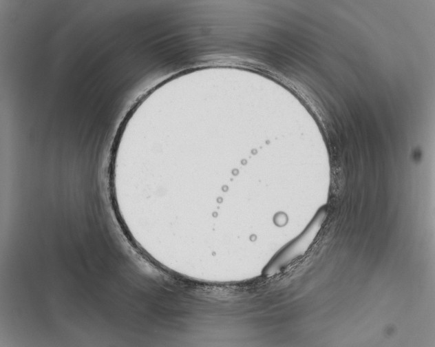 X0000116380995201001131804