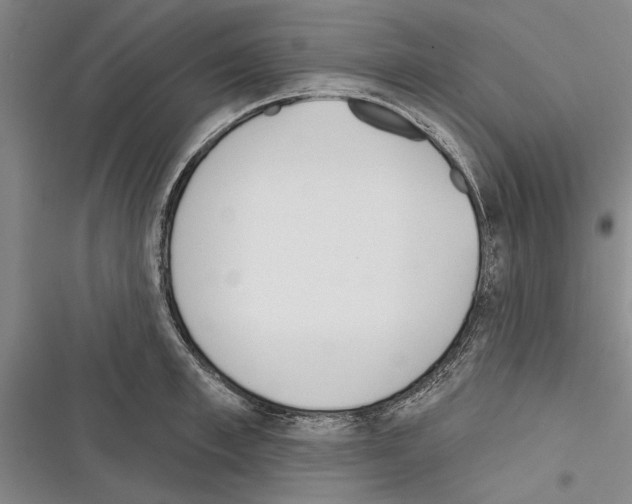 X0000116380997201001131804