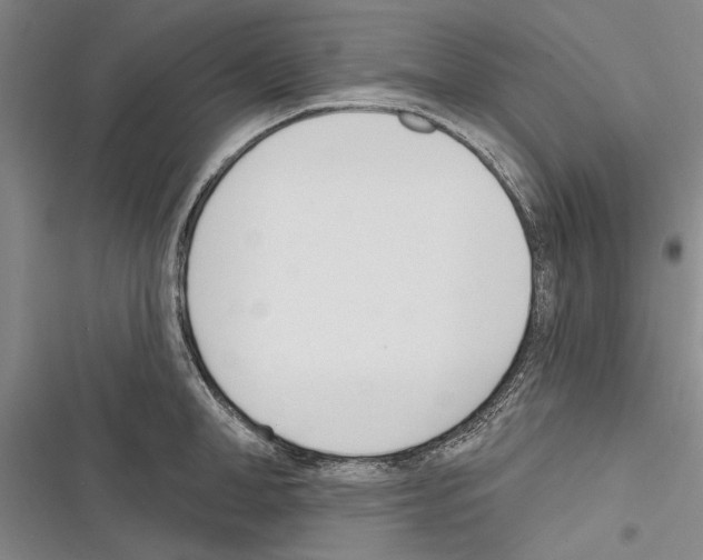 X0000116380998201001131804
