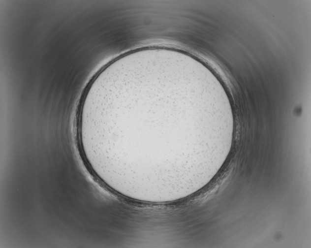 X0000116380999201001131804