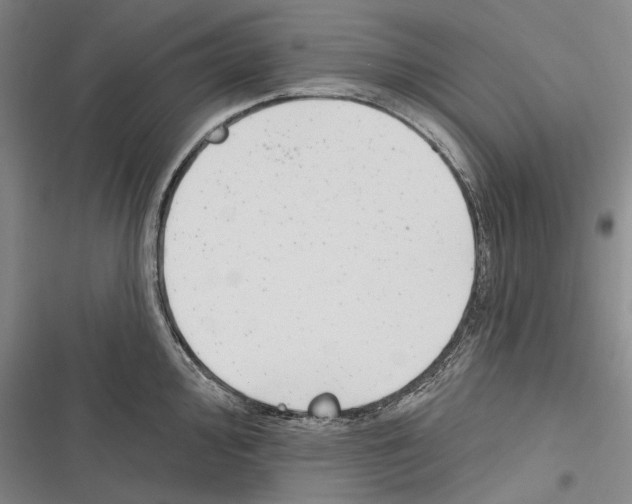 X0000116381000201001131804