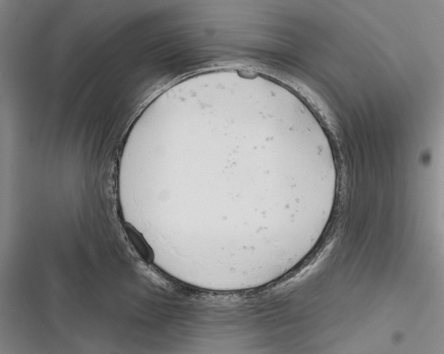 X0000116381001201001131804