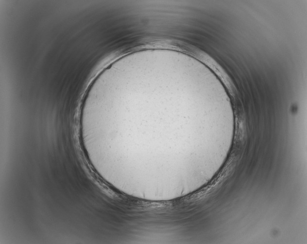 X0000116381002201001131804