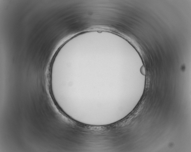 X0000116381003201001131804