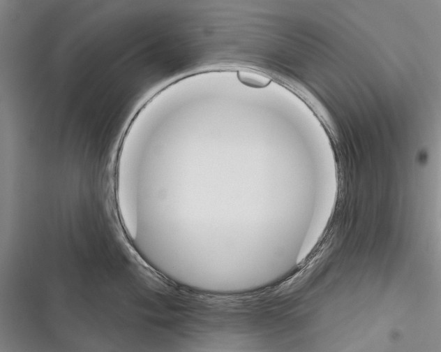 X0000116381004201001131804