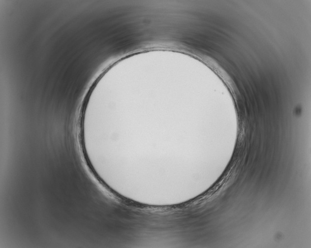 X0000116381005201001131804