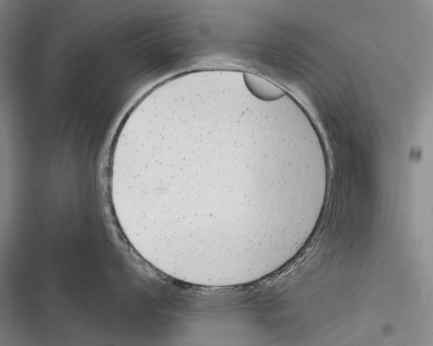 X0000116381008201001131804
