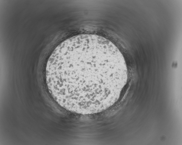 X0000116381009201001131804