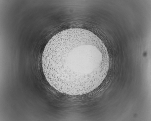 X0000116381010201001131804
