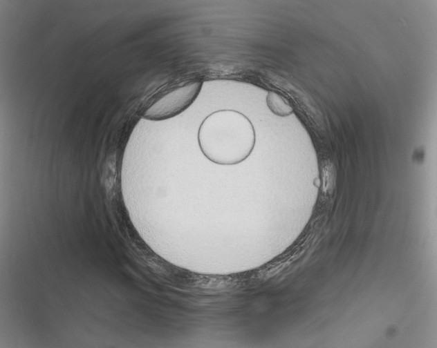 X0000116381011201001131804