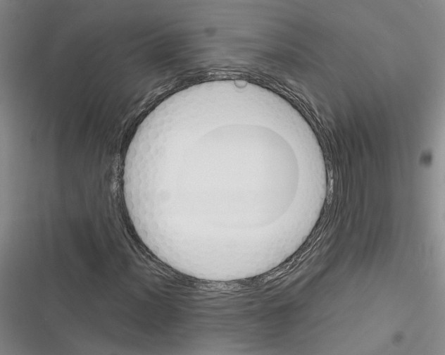 X0000116381012201001131804