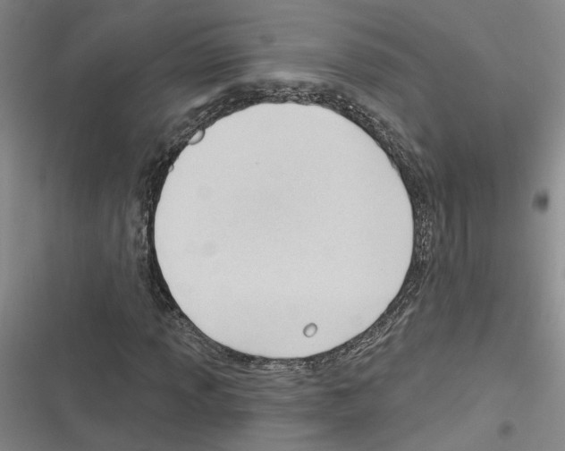 X0000116381013201001131804