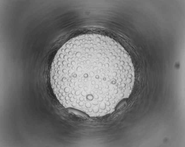 X0000116381014201001131804