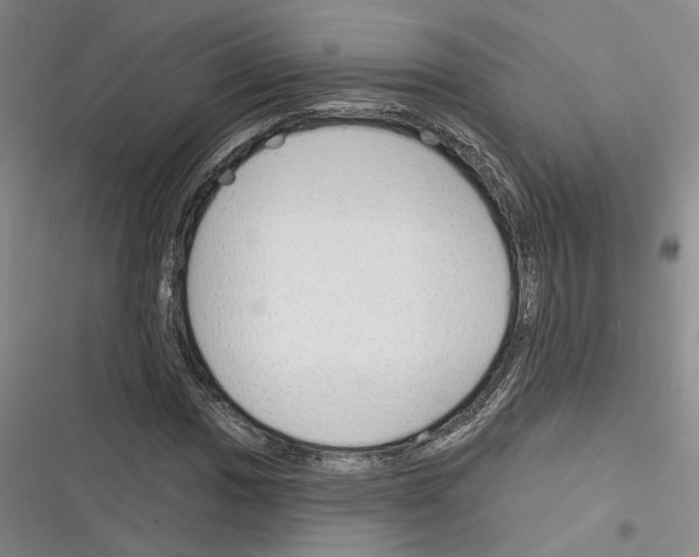 X0000116381017201001131804