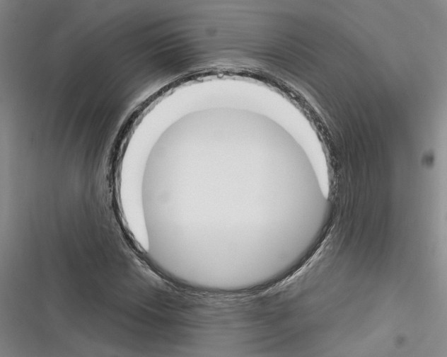 X0000116381018201001131804