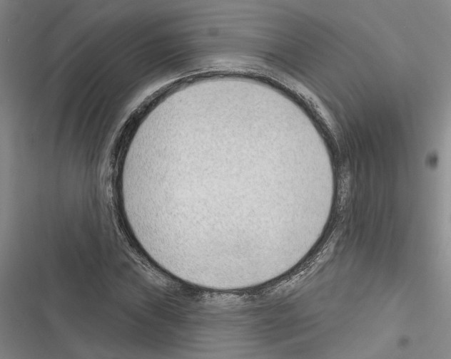 X0000116381019201001131804