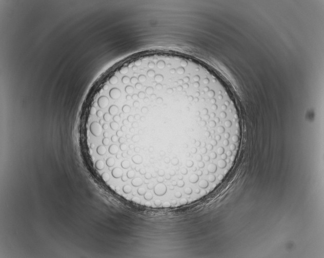 X0000116381020201001131804