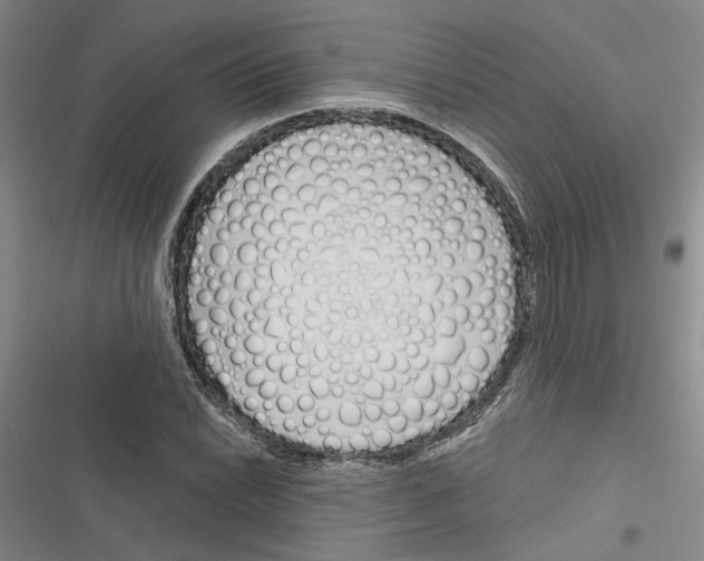 X0000116381022201001131804