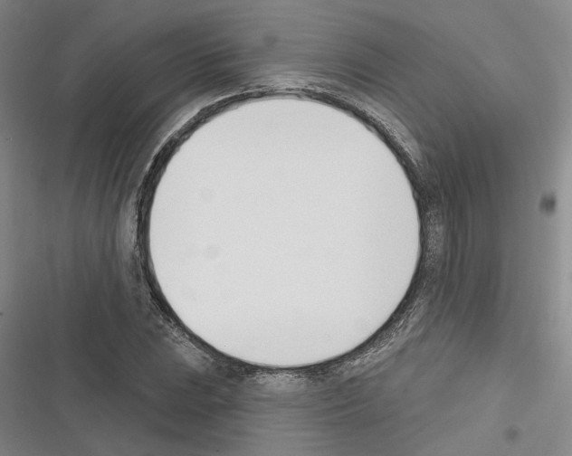 X0000116381023201001131804