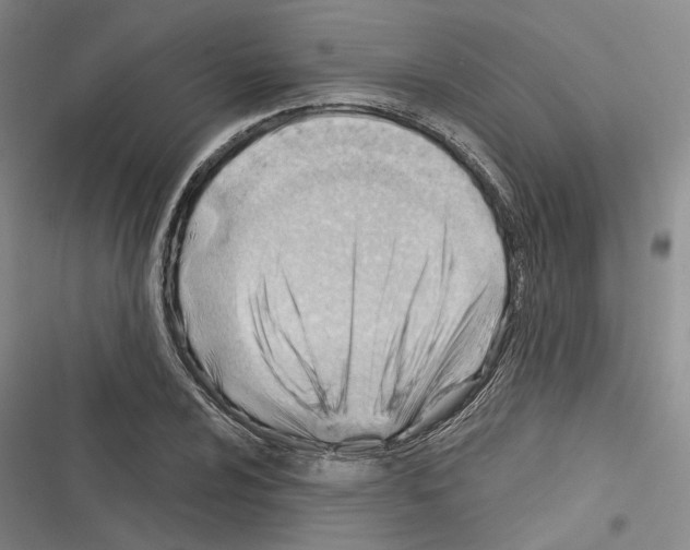 X0000116381024201001131804
