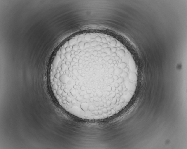 X0000116381025201001131804