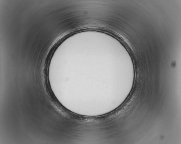 X0000116381026201001131804