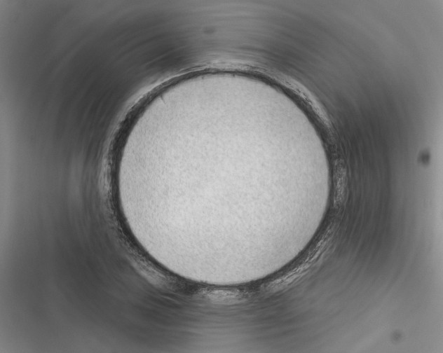 X0000116381027201001131804