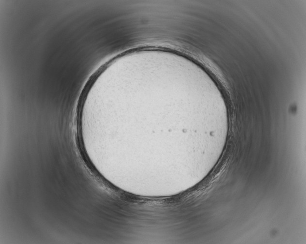 X0000116381028201001131804