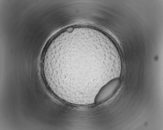 X0000116381029201001131804