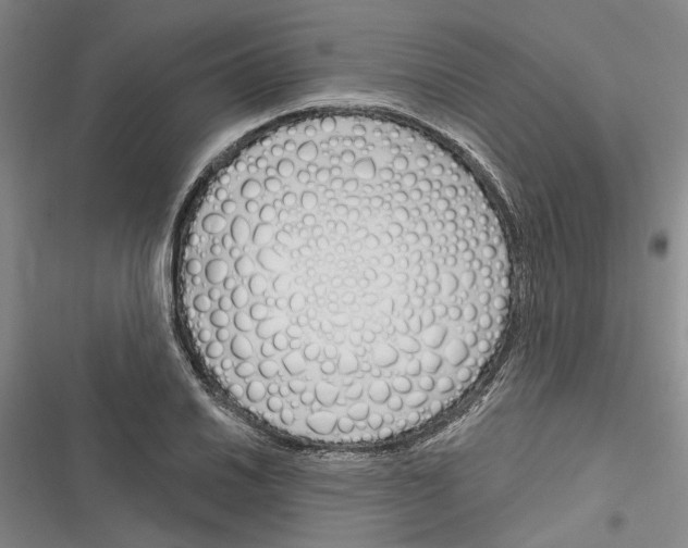 X0000116381030201001131804