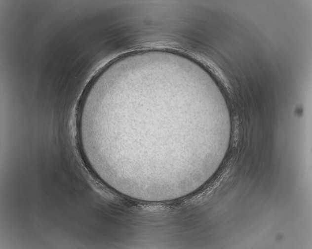 X0000116381031201001131804