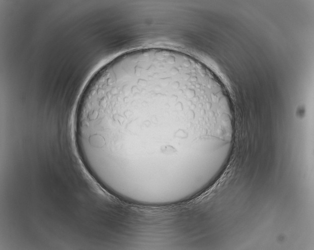 X0000116381032201001131804