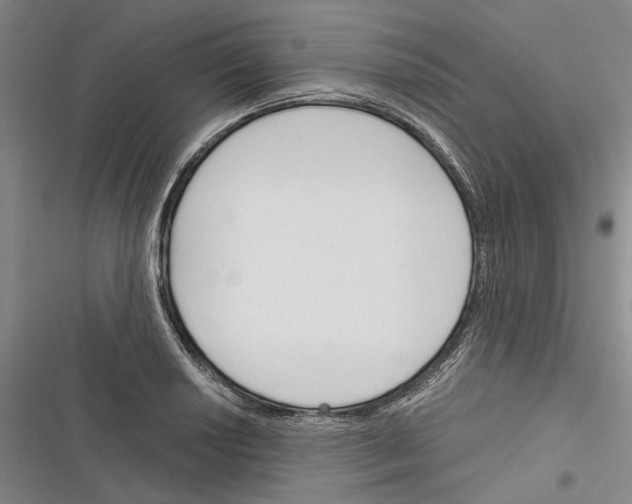X0000116381034201001131804