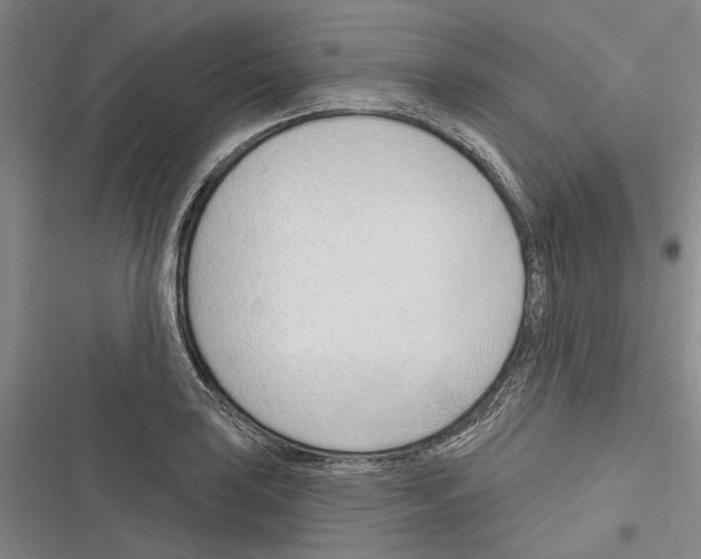 X0000116381035201001131804