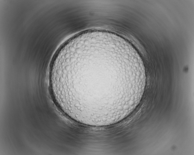 X0000116381036201001131804