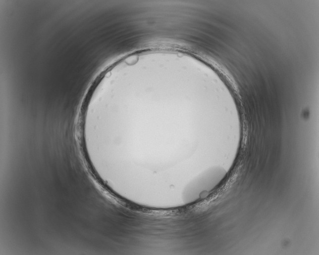 X0000116381037201001131804