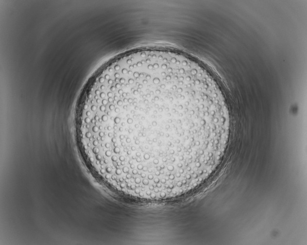X0000116381038201001131804