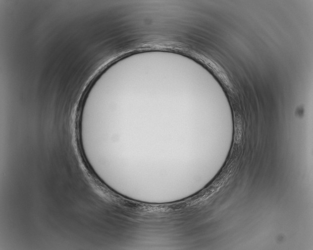 X0000116381039201001131804