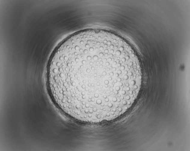 X0000116381040201001131804