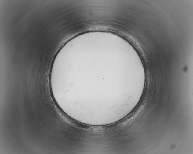 X0000116381041201001131804