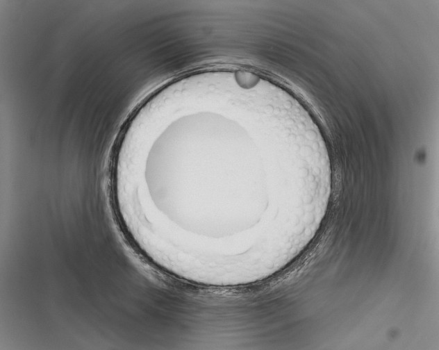 X0000116381042201001131804