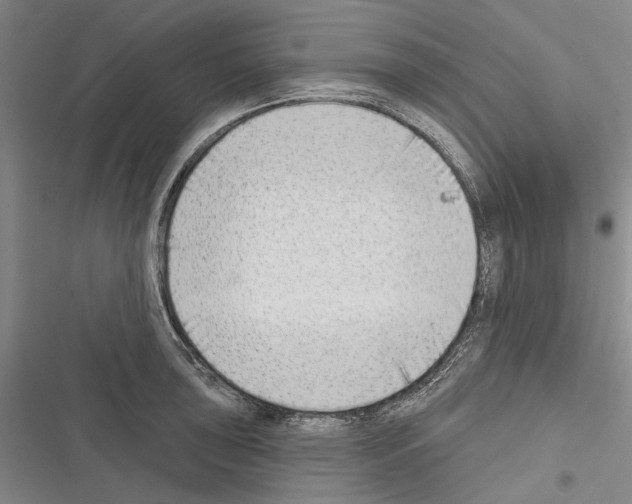 X0000116381043201001131804
